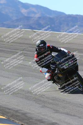 media/Feb-04-2024-SoCal Trackdays (Sun) [[91d6515b1d]]/1-Bowl (950am)/